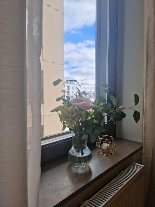 Modern With Bathroom, No Kitchen And Your Own Entrance Apartment *
