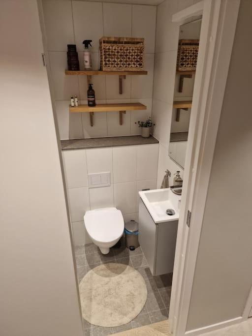 Modern With Bathroom, No Kitchen And Your Own Entrance Apartment *