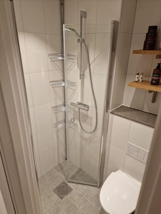 Modern With Bathroom, No Kitchen And Your Own Entrance Apartment